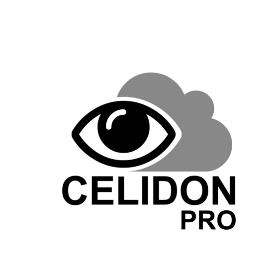 Logo of the CELIDON PRO project.