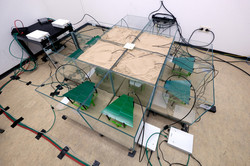 Experimental radio field measurement