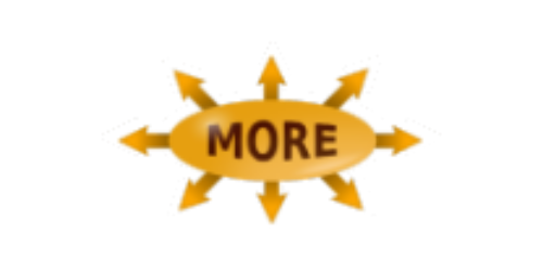 Logo of the MORE Project